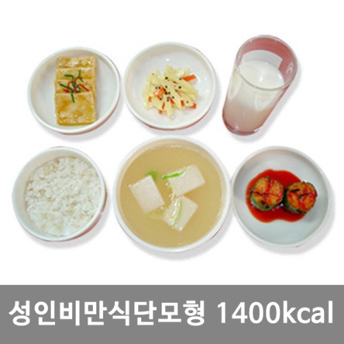 [S3457]  KIM7-88 비만식단모형(성인)  1400kcal｜식품모형 음식모형 권장식단모형 식사모형 보건교육 음식모형 식사교육