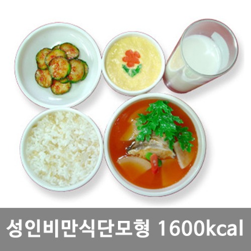 [S3457]  KIM7-87 비만식단모형(성인) 1600kcal｜식품모형 음식모형 권장식단모형 식사모형 보건교육 음식모형 식사교육