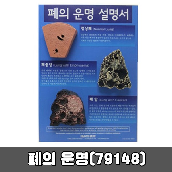 [SY] 79148 폐의운명 교육입체판넬 교육기자재