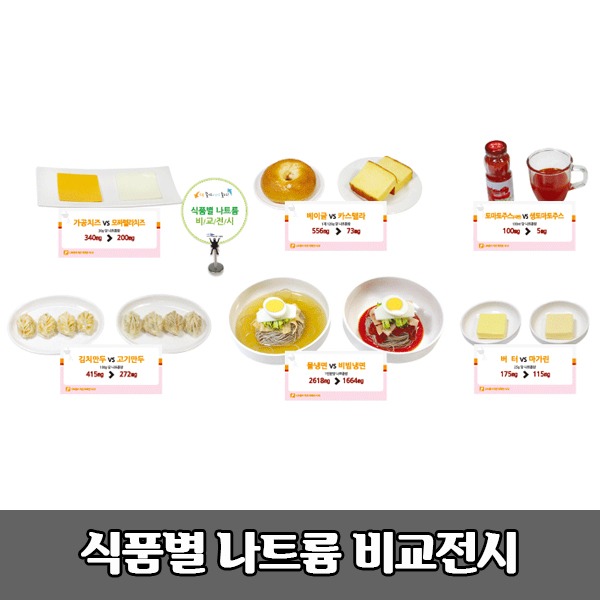 [S3369] 식품모형 [식품별 나트륨비교] 나트륨섭취줄이기