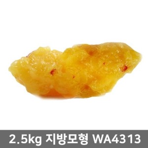 [SY] 지방모형 (2.5kg) WA04313