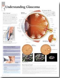평면해부도(벽걸이)/ 2250 /녹내장/Understanding Glaucoma