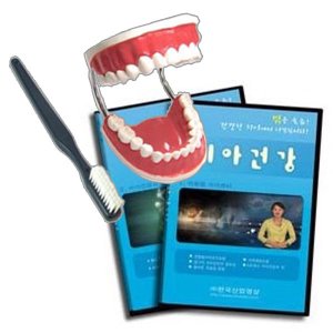 EBK3-312 치아건강 세트 (CD+치아모형) / 보건교육 치아관리 치아위생 충치예방 구취예방 칫솔질 교육용영상 교육모형 양치교육