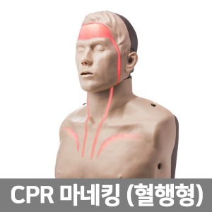 [SY] IM13K 혈행형 심폐소생마네킹 뉴브레이든｜CPR실습마네킹