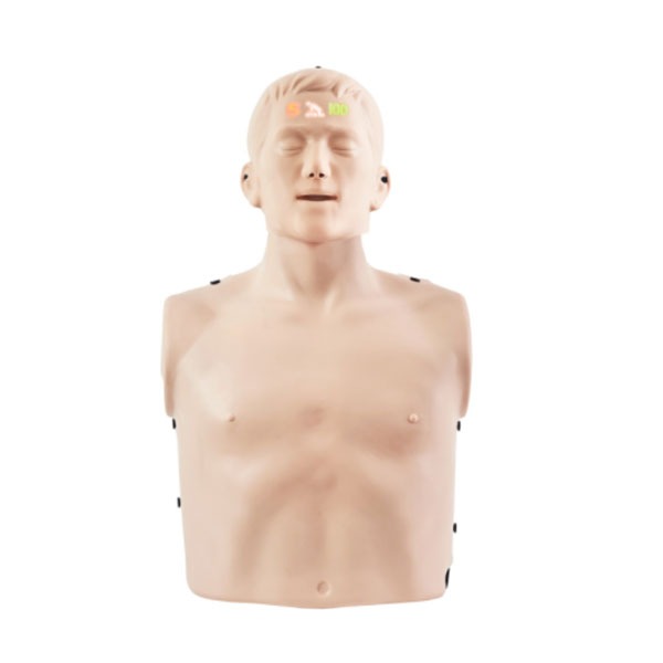 [누르고] 심폐소생술마네킹 L300A 블루투스 CPR마네킹 / 심폐소생실습모형 CPR교육 응급구조 인공호흡 심폐소생술