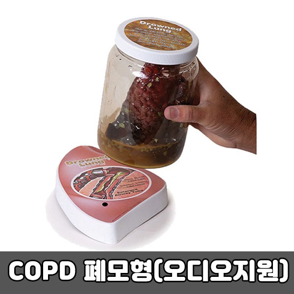 [SY] COPD 폐모형(오디오지원) M78615KO 만성폐쇄성폐질환