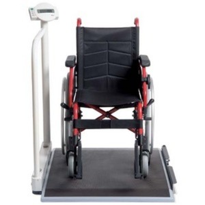 [SECA]세카/seca676 (디지털 다기능 휠체어 저울) / 휠체어저울 휠체어용저울