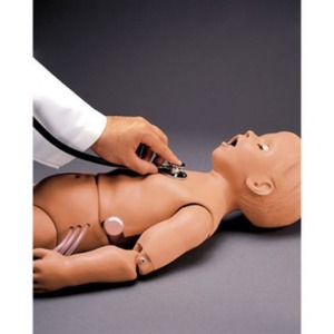 [나스코]심폐음모형 (5세) Trainer/SB41599 청진심폐음실습마네킹 NASCO