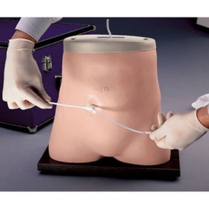 [나스코]LF01027 복막투석실습모형｜신장투석 실습모형 Peritoneal Dialysis Simulator 복막투석연습모형 NASCO