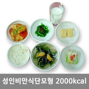 [S3457]  비만식단모형(성인) 2000kcal KIM7-85｜식품모형 음식모형 권장식단모형 식사모형 보건교육 음식모형 식사교육