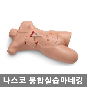 [나스코]봉합실습 LF00929(EX) 전신실습마네킹  Surgical Sally Bandaging Simulator NASCO