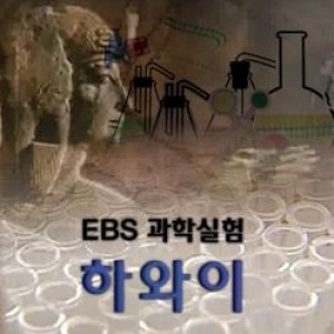 [DVD]EBS 과학실험 - 하와이 (녹화물)(DVD 51장),영상교육자료 학교 교육용 영상자료 교육용자료 교육용DVD