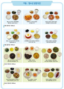 [S3369] 식품모형 아동/청소년 권장식단 (아침,점심,저녁3식)-칼로리선택