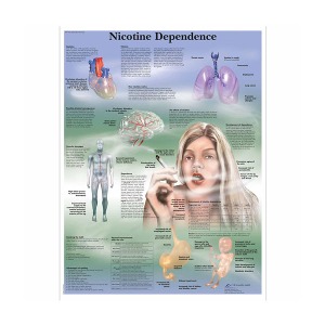 [독일3B] 니코틴 중독차트 VR1793L(코팅) Nicotine Dependence Chart